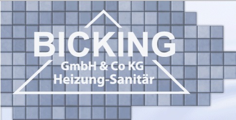 bicking_gmbh_und_co_kg.jpg